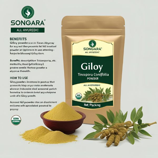 Best Image of Giloy powder