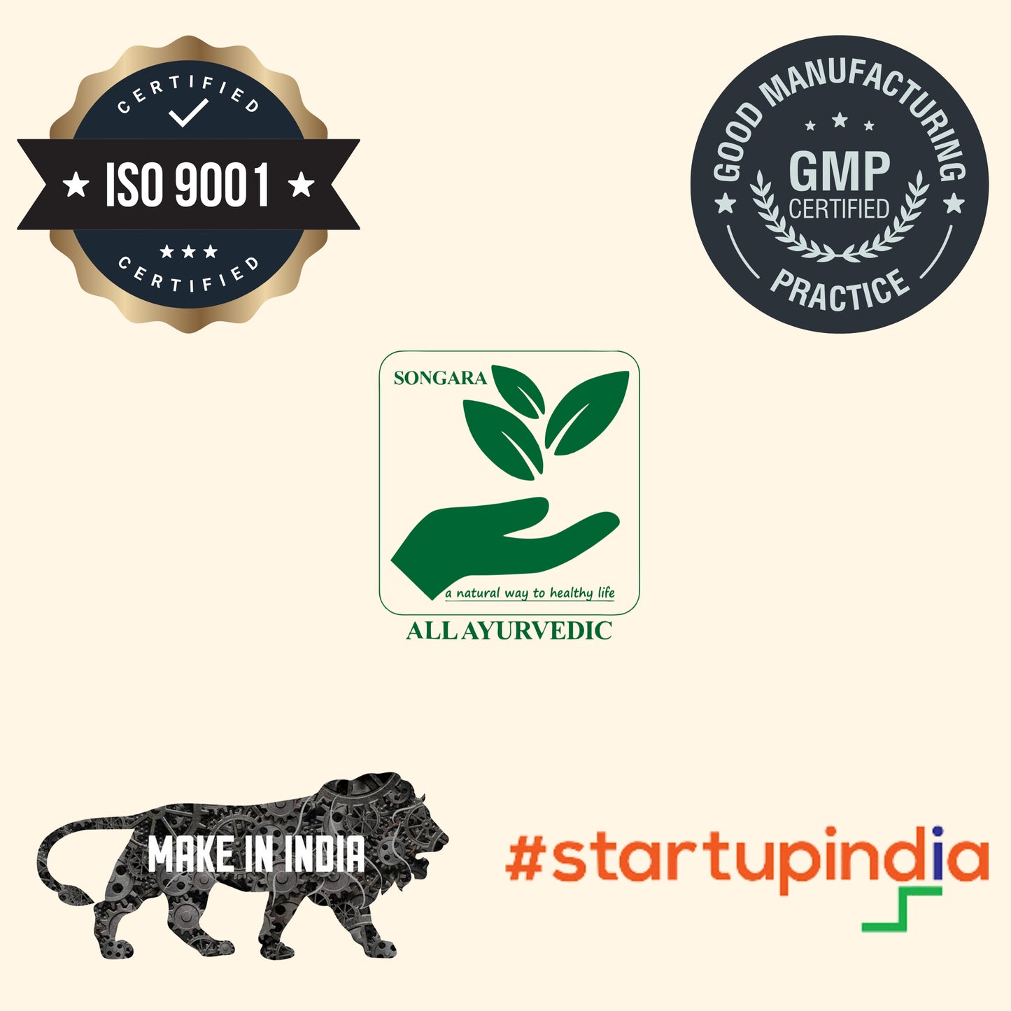 Songara Methi Powder : |Trigonella foenum-graecum Linn| Fenugreek