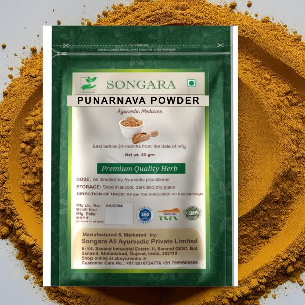 Best Ayurvedic Punarnava Powder 