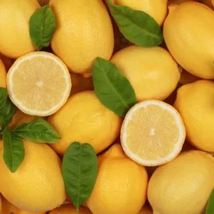 Best Ayurvedic Lemon Export from India by Songara All Ayurvedic