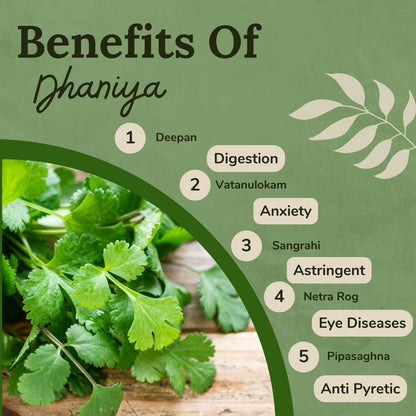 Songara Dhaniya Powder : Fresh & Natural Coriander Powder/Dhaniya Powder Indian Masala | Preservative Free | 100 Gram (1 Unit)