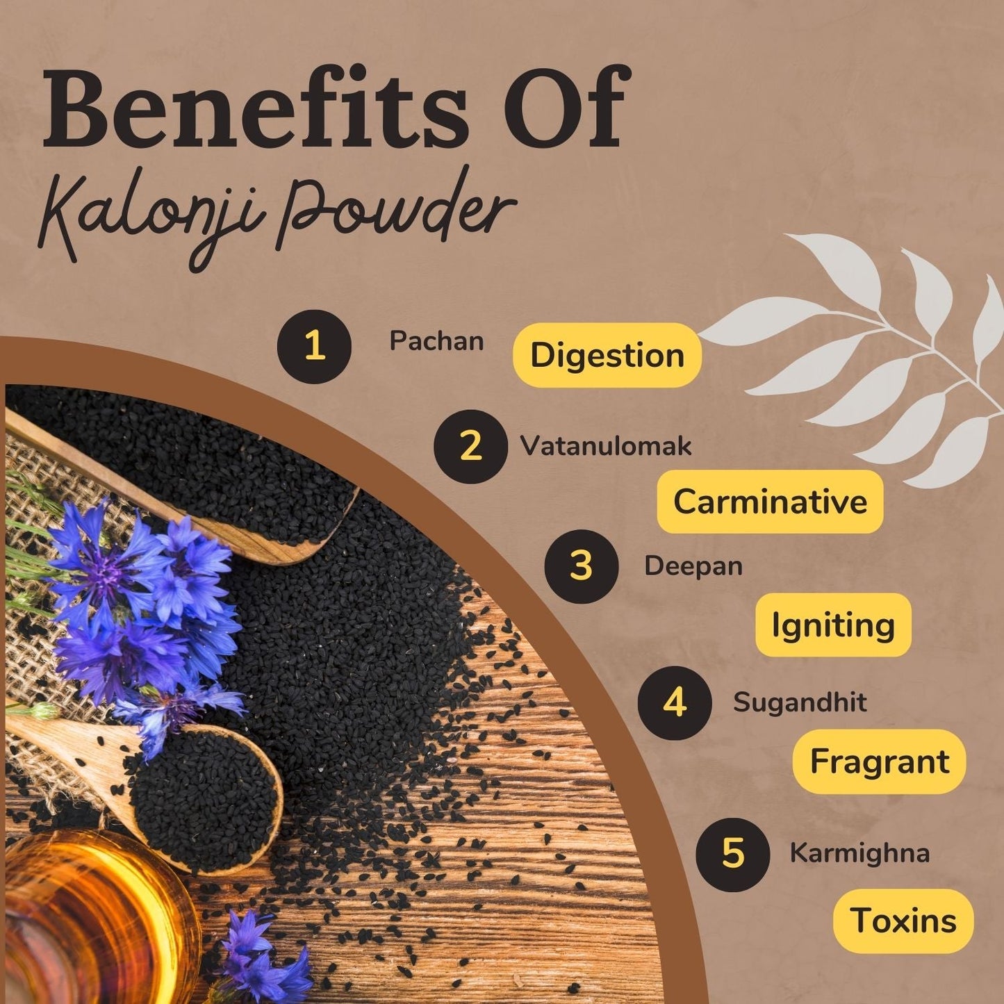 Songara Kalonji Powder: (Nigella sativa) for Health, Hair Growth, Managing Sugar Level, Skin Health, Organically Processed, Premium Natural, (Indian Superfood, Add flavour to curries, Indian Breads and Baked Goods, (100G, Pouch)